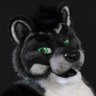 AeroRaccoon's profile picture. PNW | Single | Fursuiter | Auto Enthusiast | Mountain Biker | Bass Player |  Systems Engineer | Raccoon -- Fursuit by @onefurallstudio  🏳️‍🌈