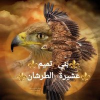 عبداللہ التميمى(@Abdullahthah071) 's Twitter Profile Photo