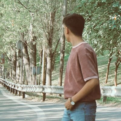 alirezahsini's profile picture. 