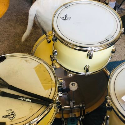 WSRosloff's profile picture. Musician, former business owner, dog mom.