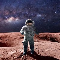 Stephen Space .lens (Ø,G)⚡️🐑 (🌸, 🌿) (@hostedwallet) 's Twitter Profile