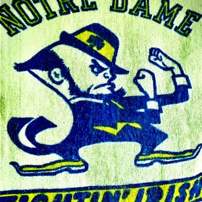 notredame1980's profile picture. Enterprise Cloud Web Professional
