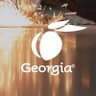 gdecd's profile picture. Businesses seeking a competitive edge in a global marketplace will find world-class support and resources through the Georgia Department of Economic Development