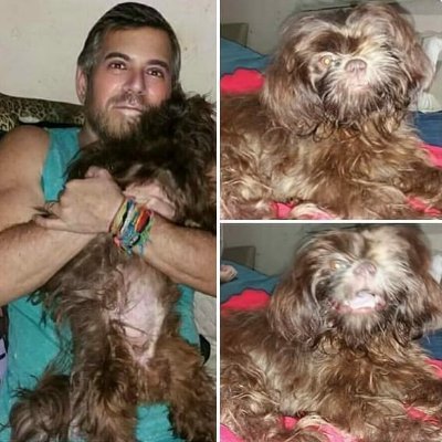 salvatore_stutz's profile picture. 