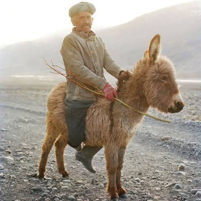 Dayı gönüllerde
Gönüller de Dayıda

Sırası gelince projeleri sadece buraya yazacağım.

Dayı bu borsanın #karakutusu
Takipçi peşinde değilim
Bana kardeş lazım