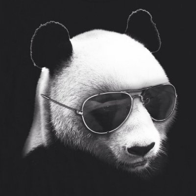 RachelC41515281's profile picture. 