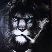 yazeed 🇸🇦 (@yazeed78285672) 's Twitter Profile
