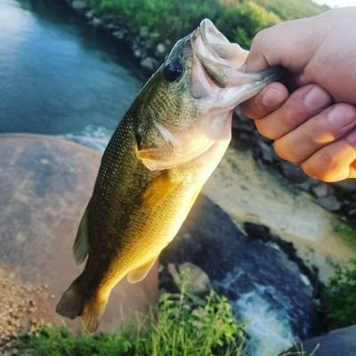 Amateur Part-time R6 Streamer/Fisherman guy person. https://t.co/1cdV4irn52