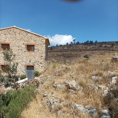 baresce's profile picture. Treballadora Social i Cooperant Internacional. Gerent Col·legi Oficial de Treball Social de València @COTSvalencia