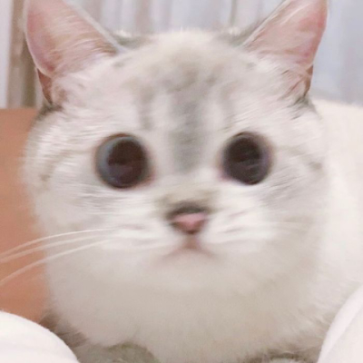 Kaiicanthandle's profile picture. 3 kids in a big coat trying to sneak into a 18 rated film