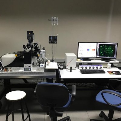 Unidad de Microscopía Confocal y Epifluorescencia, Facultad de Medicina, UdelaR.