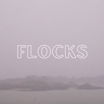 @flockstheband