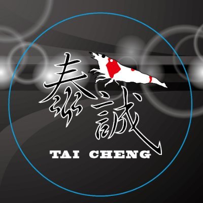 tw__tai Profile Picture