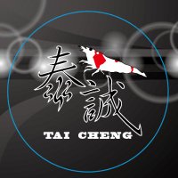 泰 誠 (tai cheng)(@tw__tai) 's Twitter Profile Photo