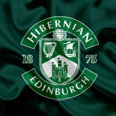 Follow_Hibees's profile picture. periscope @hibsstream