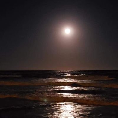 Moon_phases_23's profile picture. Simplemente. ..