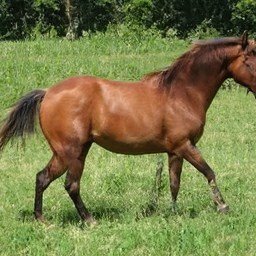 KellieW16937984's profile picture. 