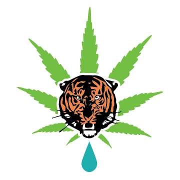 A Natural Wellness Company that distributes wholesale pricing only to the public, the best wellness CBD products. Manufactured by Willow Creeks Springs