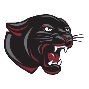 TmsAllsports's profile picture. Panther Pride 🐾 🏐🏈🏀⚽️