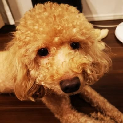 Yuka_kyudo0405's profile picture. 20L |  認知 | 全く呟かない垢 |弓道