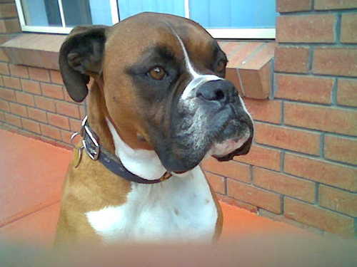 samferreri's profile picture. Aspiring to a state of nonchalance