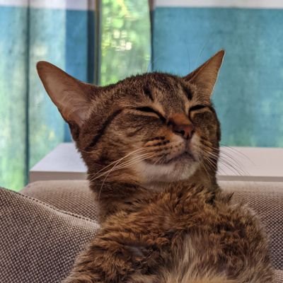 Max Buttcheeksさんのプロフィール画像