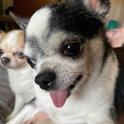 RadioOxford's profile picture. Former teacher, current mom and wife, admirer of Thomas Paine. Blogger and writer for Radio Free Oxford and The Easton Gazette.