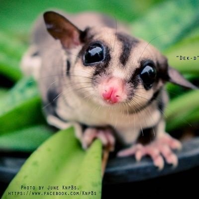 assawin_p33's profile picture. ช่างภาพงานอีเว้นท์