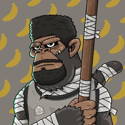 Coders_NFT84's profile picture. 