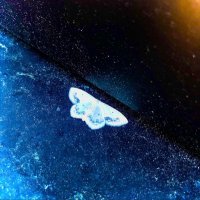 Fizzi (@flzzi) 's Twitter Profile
