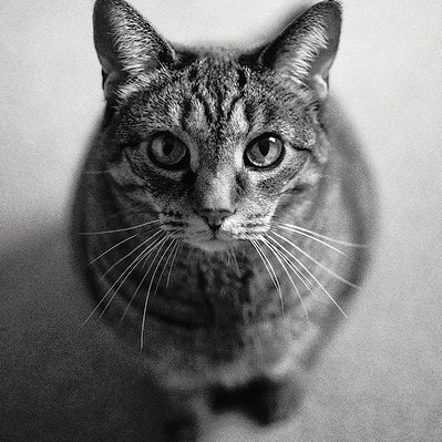 geL5iVoU15HeNiu's profile picture. Non e bello cio che e bello, a e bello cio che piace.  Chi si contenta gode.