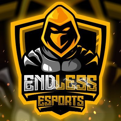 Endless eSports Profile