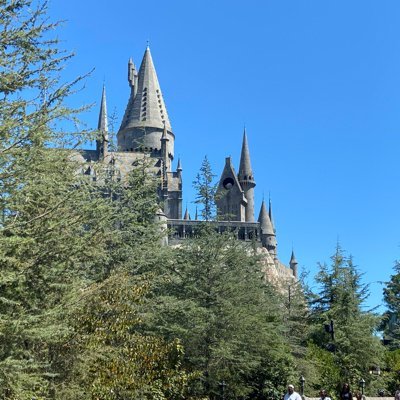 SeanRyan884's profile picture. Fanboy of many things, but ultimately just living my life the best I can