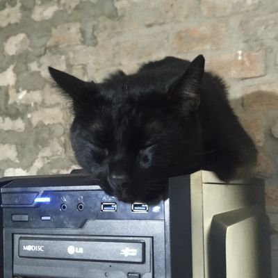 PE.
Ciberseguridad/GameDev/3DArt
Entusiasta, curioso y amante de la tecnología.
Intento de muchas cosas.