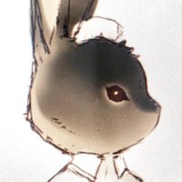 hare | working on comms(@dear_hare) 's Twitter Profile Photo