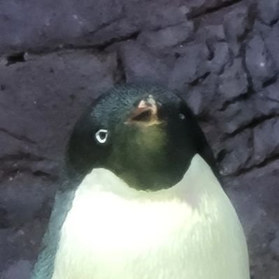 PeguinSa's profile picture. SAP（FI）の修行中です！

2022年6月からSAP畑に入りました～
（日系の総合系コンサル会社に所属）

わからないことだらけなので、
ご指導いただけると助かります！

いろんなスキルを獲得しつつ、そのうち今の自分と同じような境遇の人や新人ちゃんを助けられるようになりたいな～と思ってます。