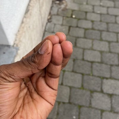 sucreandlemon's profile picture. egal