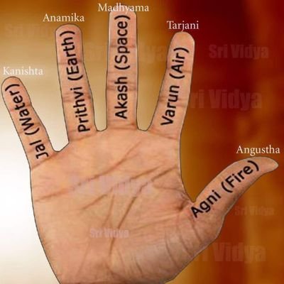 AshwinK46088579's profile picture. Yogic life