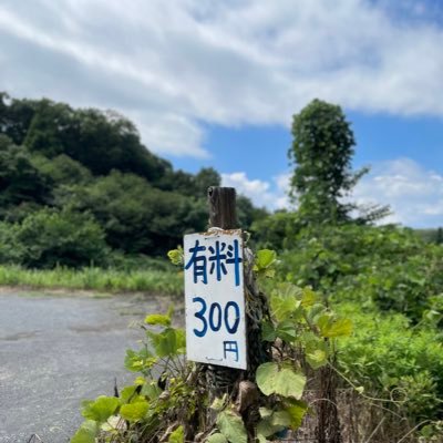 🅿️渋谷駐車場です🅿️ 法政大学多摩キャンパスさんの最寄り駐車場を運営しています。大学専用駐車場ではないので、大学関係者・学生さん以外にも多くご利用いただいています。いつもありがとうございます⭐️ 渋谷という名前ですが、渋谷区とは関係ありません🙅‍♀️DMなど気付くのが遅くなる場合があります、ご了承ください🙇