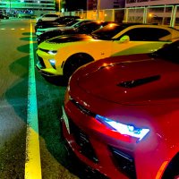 ✿OCO✿ (@d_exegk0309) 's Twitter Profile