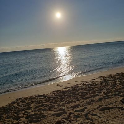 raul_anchecta's profile picture. t