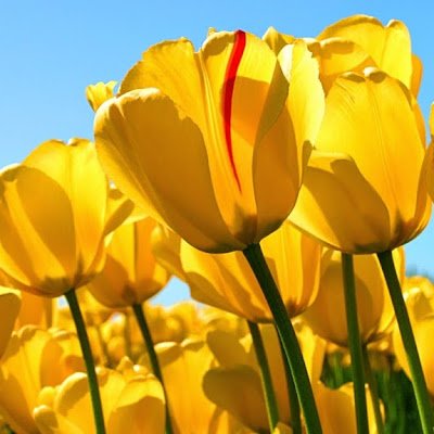 AparnaSekhar6's profile picture. 