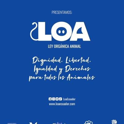 Activista a favor de los derechos de los animales,y de todos los que luchan. Defensora de derechos!