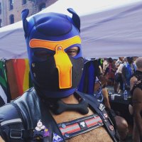 Pup Buu (@jrwolfcub) Twitter profile photo