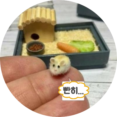 누룽쥐さんのプロフィール画像
