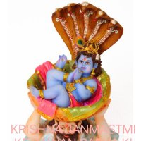 Rajendra Singh (@rajendr15355596) 's Twitter Profile