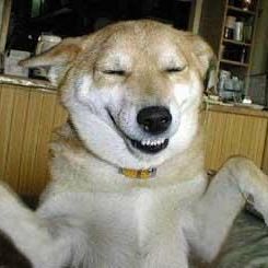 Bojko_'s profile picture. 