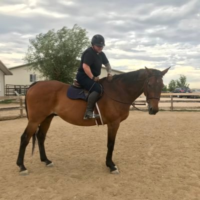 ✨in this house we speak R+✨ . . . . . . . . . . . . he/him. queer. 🏳️‍⚧️ malinois & OTTBs ❤️