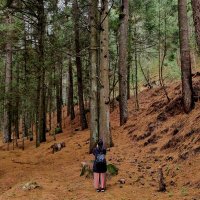 L (@luialfaro_) 's Twitter Profile Photo L (@luialfaro_) 's Twitter Profile Photo