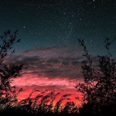 alialmubaraki's profile picture. لا إله الا أنت سبحانك إني كنت من الظالمين